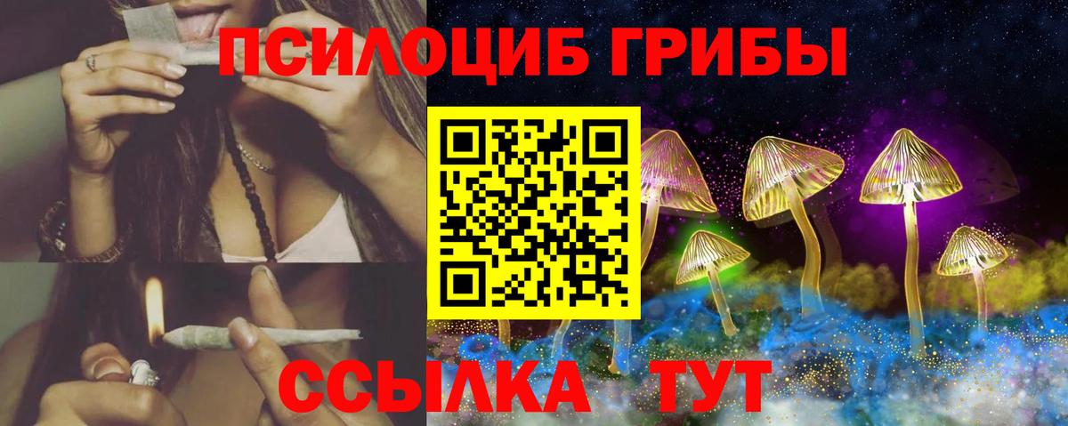 Богородск  Псилоцибиновые грибы мухоморы  Вход с VPN 
